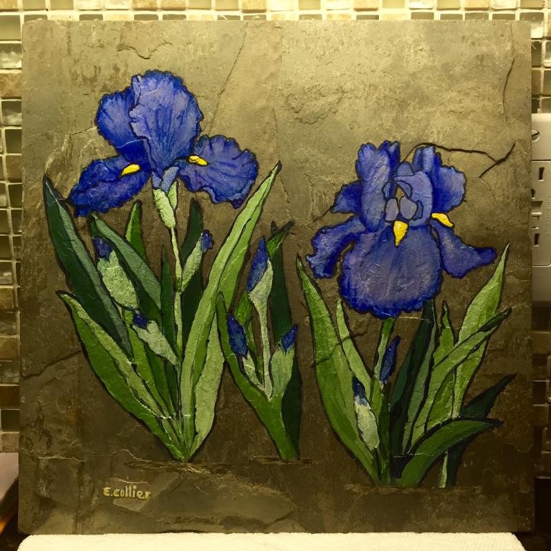 Iris